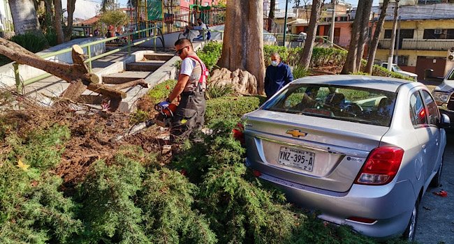 DA004DCD-2F00-4793-94DB-6398B1082DD7