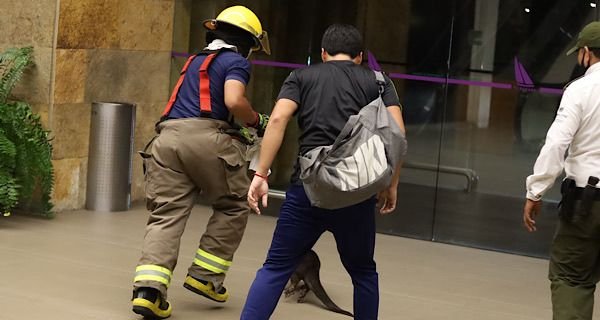 WhatsApp Image 2025-10-03 at 10.18.49