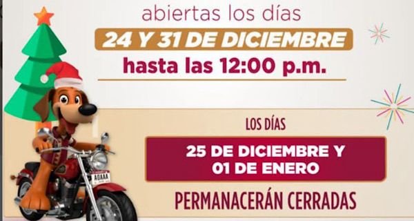 WhatsApp Image 2025-12-26 at 12.21.31