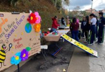 RALLY AMBIENTAL EN LOS LAGOS!