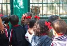 LE ENTRARÁ EL QUEVEDO AL CARNAVAL!