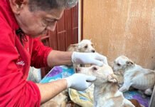 NO ESTABAN EN EL OASIS!