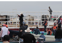 CHRISTIAN, AL TORO POR LOS CUERNOS!