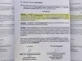 UPAV, LOS VERDADEROS SAQUEADORES CON NOMBRE Y APELLIDO