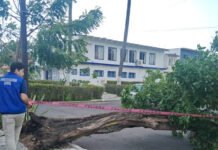 BOCA, EN ALERTA POR FF41!: MARYJOSE