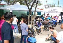 MICHIS Y LOMITOS, POR UNA MEJOR VIDA!