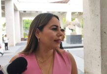 BAJO RIESGO, 7 MUNICIPIOS POR AGROTÓXICOS!