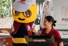 ALFABETIZACIÓN, CLAVE DEL DESAROLLO