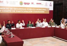 INSTALAN CONSEJO DE SEGURIDAD EN EL PUERTO