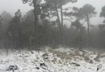 VA EL COFRE POR SU QUINTA NEVADA!