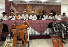 A GALOPAR EN VERACRUZ!