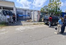 INVESTIGAN MUERTE DE LOMITO!