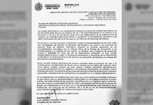 MILES DE TARJETAS DE CIRCULACIÓN CON ERRORES EN VERACRUZ