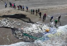 SÍ HAY PESCA SIN CHAPOPOTE!