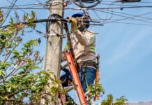 FUERA “TELARAÑAS”!