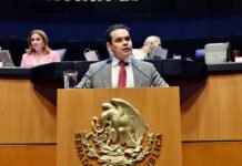 NO AGARREN DE PAYASO DE LAS CACHETADAS A SHEINBAUM!