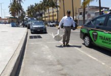 APARCA DONDE QUIERAS!