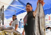 OJO A LOS “ROBALOS”!