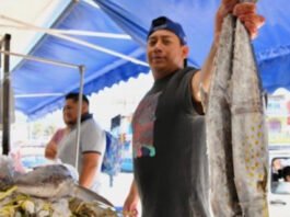 OJO A LOS “ROBALOS”!