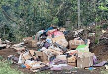 TEMEN QUE EL COCHINERO LLEGUE A SUS “PLAYAS”!