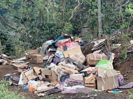 TEMEN QUE EL COCHINERO LLEGUE A SUS “PLAYAS”!