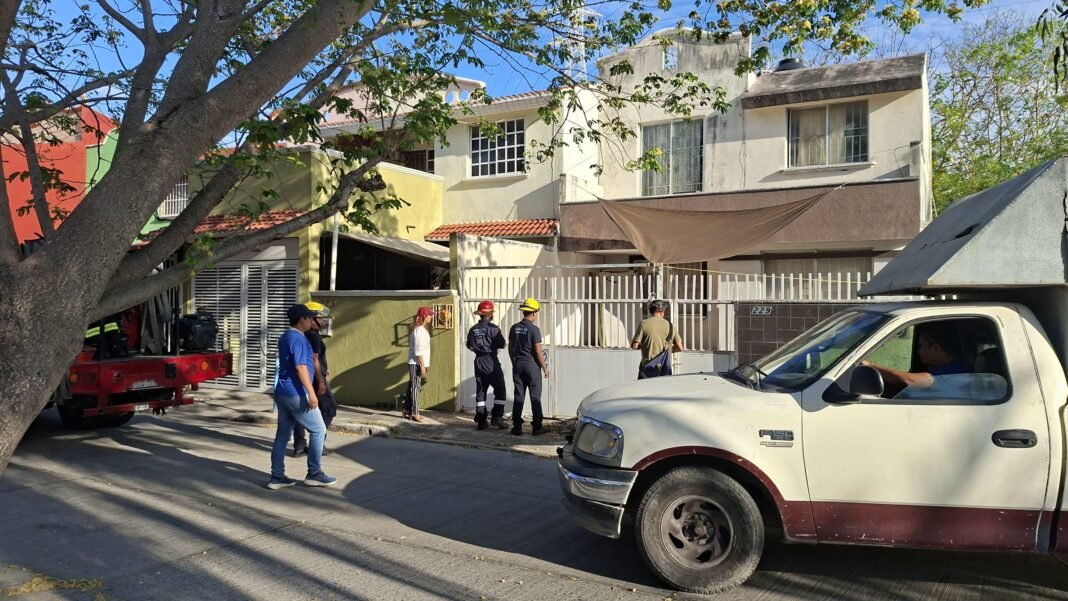 da36b5ac-b889-4d25-a339-4f4e92d44b51