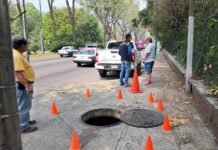 ARDILLA ‘BAJÓ EL SWITCH’!