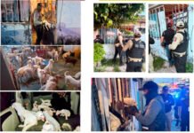 HIJOS DE SU CRUELLA DE VIL!