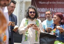 CAFÉ DE VERACRUZ, MOTOR DE HISTORIA Y ECONOMÍA