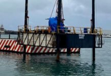 QUE NO PANDA EL CÚNICO: ASIPONA