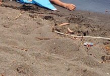 REFUERZAN SEGURIDAD!