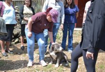 ORDEN Y LIMPIEZA EN LA MÁRTIRES!