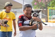 MICHIS Y LOMITOS, PROTEGIDOS!