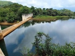 Foto Las Noticias con Paco