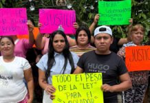 ALCALDE, PROTECTOR DE “VIOLÍN”