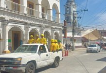 VACACIONES EN EL BOSQUE!