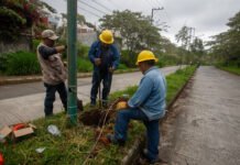 ILUMINARÁN LAS FUENTES!