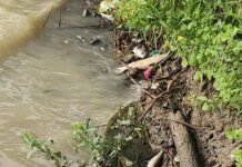 PERO MIRA CÓMO MUEREN LOS PECES EN EL RÍO…