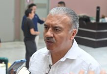 UN PSICÓLOGO POR ESCUELA, PERO…