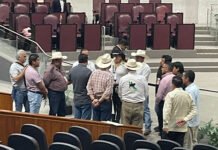 LES JALAN LAS RIENDAS A DIPUTADOS MORENOS