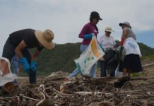 PARA PROTEGER LA COSTA Y A LAS TORTUGUITAS!