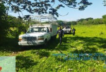 ENCUENTRAN OSAMENTA EN FALDAS DEL PUNTIAGUDO!