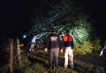 TORNADO POR POCO SE LLEVA CASAS!