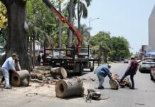 ERA UN RIESGO PARA LOS “COCOS”!