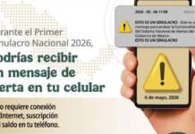 TRAIGAN SU BOLILLO!