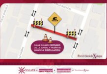 TOMEN PRECAUCIONES EN JARDINES DE BAMBÚ