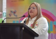 PROPONE LEY ALINA VERACRUZ!
