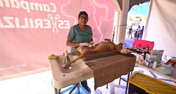 IMG_8354