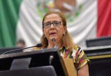 VAN POR NO REELECCIÓN Y NEPOTISMO ELECTORAL