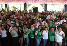 VERDE, PUENTE DE IDEAS Y ACCIONES